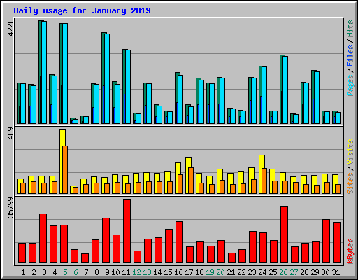 Daily usage for January 2019