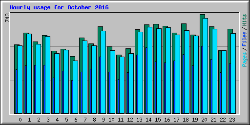 Hourly usage for October 2016