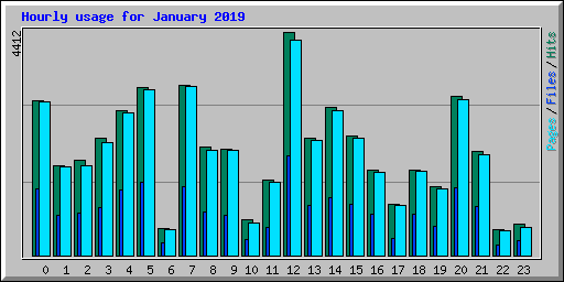 Hourly usage for January 2019