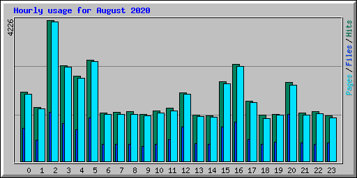 Hourly usage for August 2020