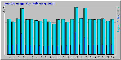Hourly usage for February 2024